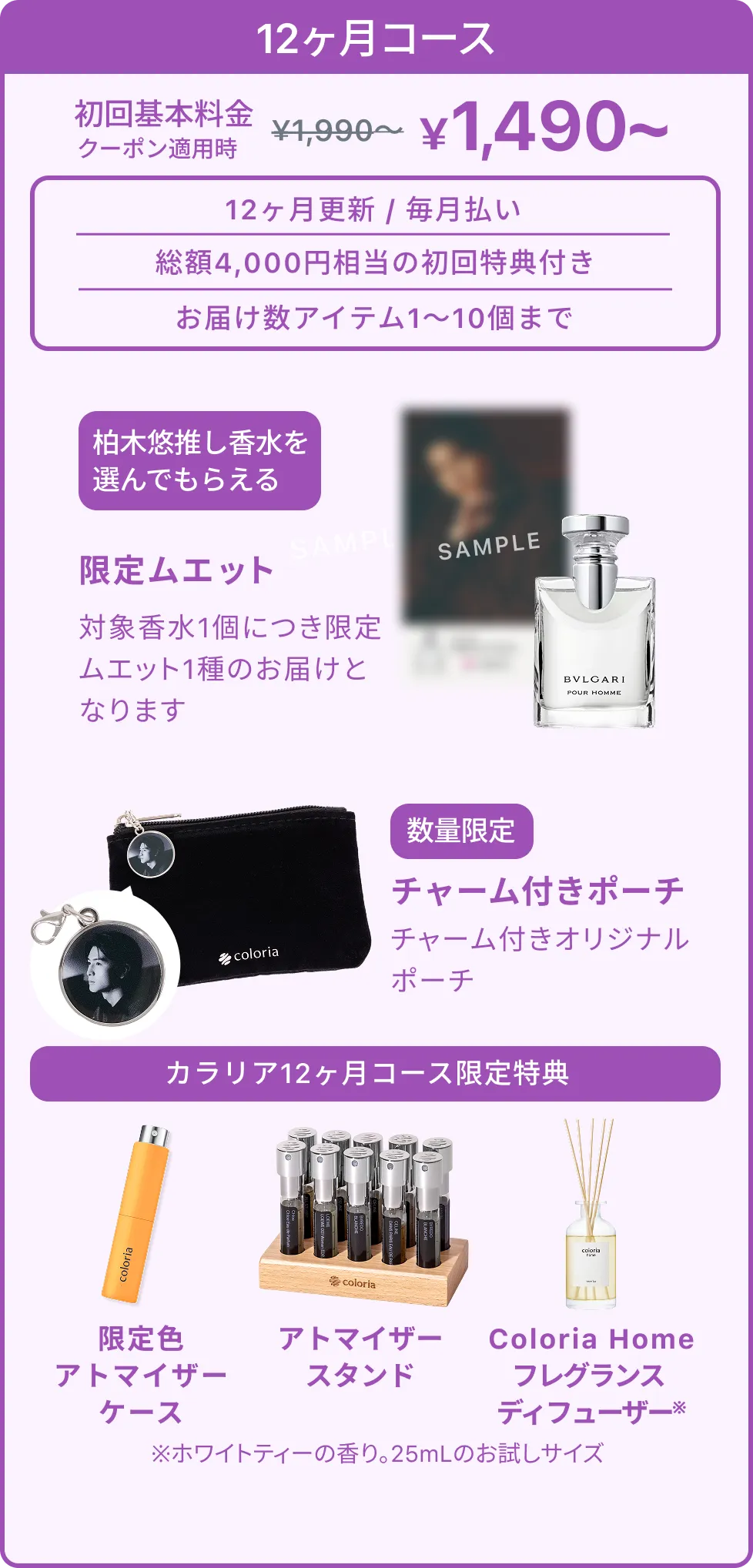 12ヶ月コース